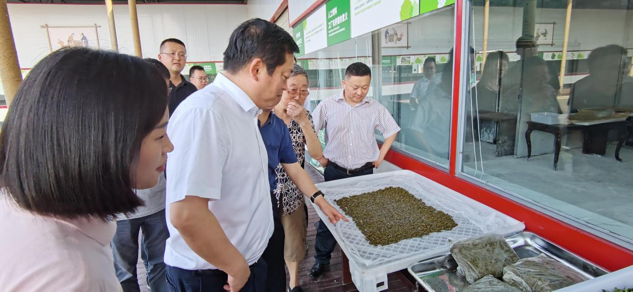 省AG尊时凯龙人生就博集团党委副书记、董事陈日赴嘉陵区调研茶桑产业发展情况