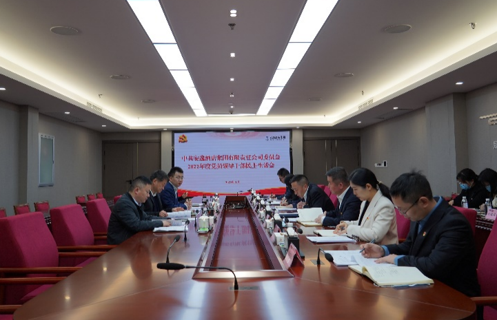 AG尊时凯龙人生就博集团党委书记、董事长任丁出席安逸酒店集团2022年度党员领导干部民主生活会